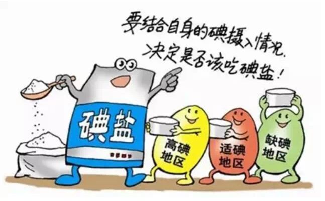 91香蕉视频精品厂家