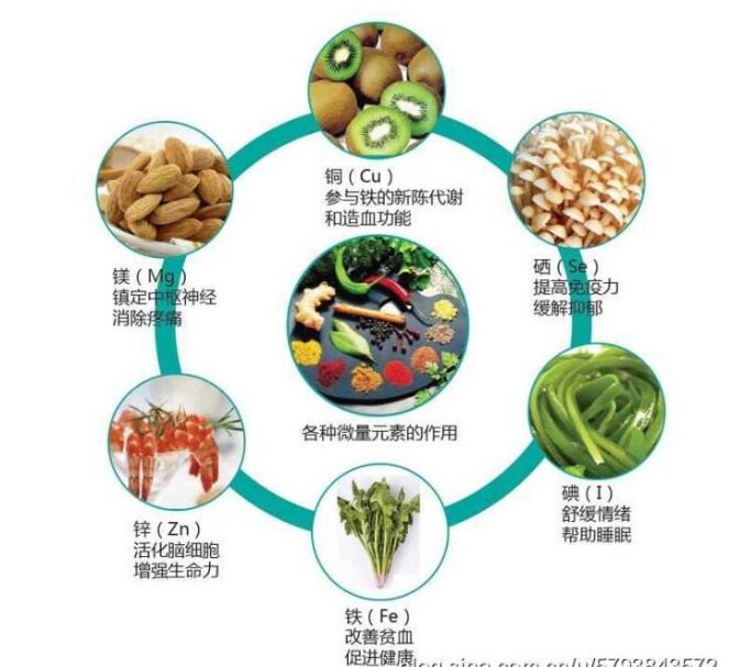 全自动91香蕉视频IOS在线分析头发检测的结果