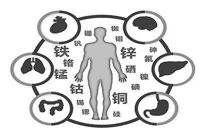 全自动91香蕉视频IOS在线厂家介绍缺少微量元素的危害
