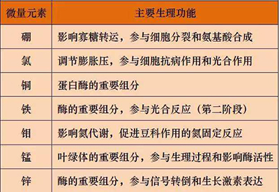 全自动91香蕉视频精品厂家微量元素的对人体的生理作用